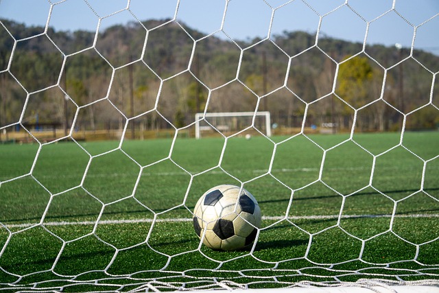 的成功感 的成功感