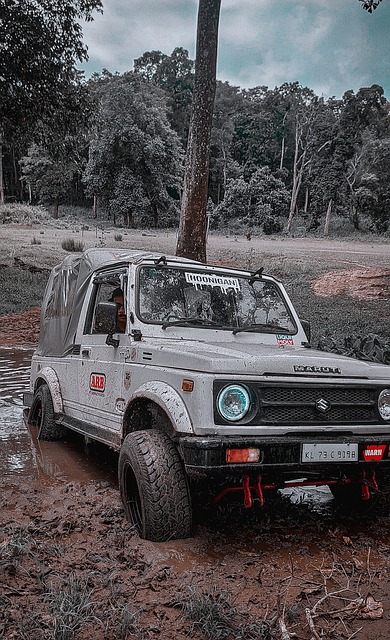 制了湖人的 制了湖人的