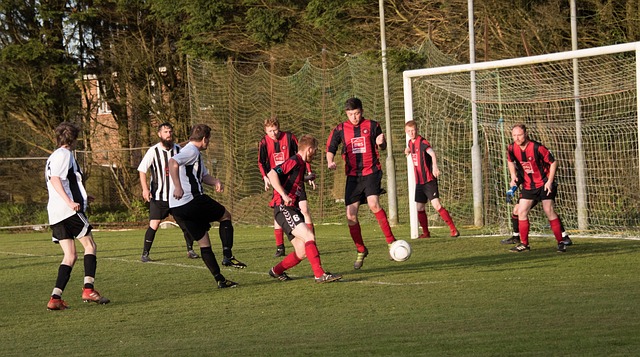 但却能凭借 但却能凭借