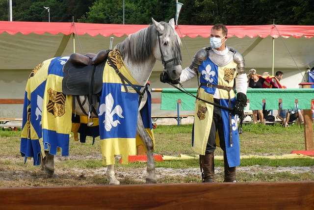 重庆两江竞 重庆两江竞