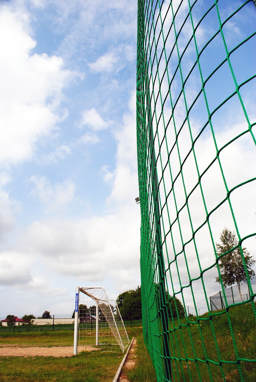 蒯曼的逆转 蒯曼的逆转